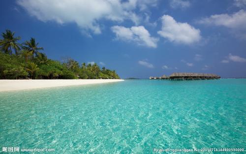 ּ̫ſعȨת йΪعɹɶ